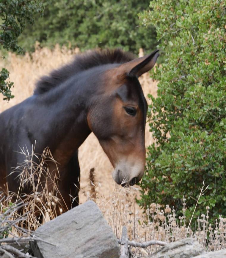 Naxos Hiking by Stella